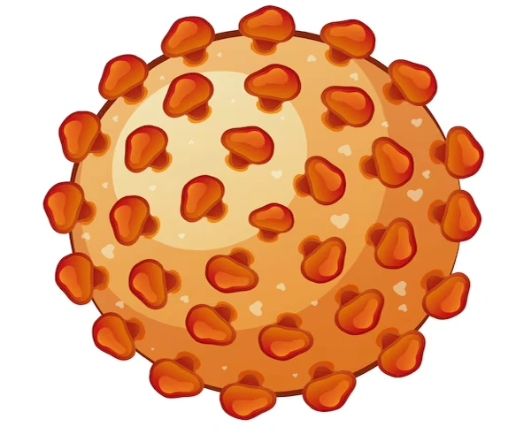 Chronic Hepatitis B