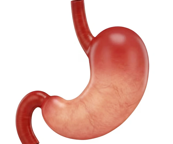 Pancreas Fistula