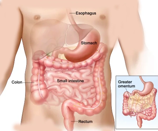 GIST and Lymphoma