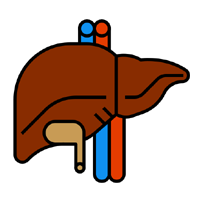 Liver & Gastro Cases+