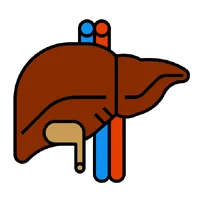 Liver & Gastro Cases+